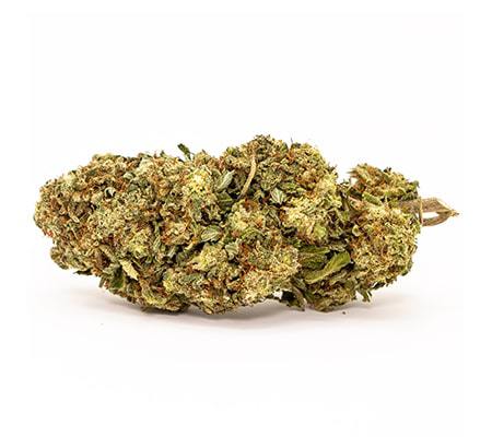 Lemon Skunk Cannabis Strain [Benefits, Origins, Potency]