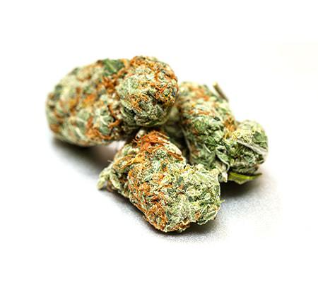 Orange Crush Marijuana Strain [Origins, Benefits, Grow Info]