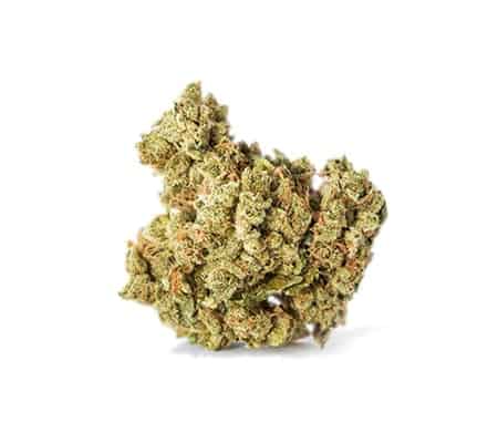 Double Dream Marijuana Strain [Origins, Grow Info, & More]