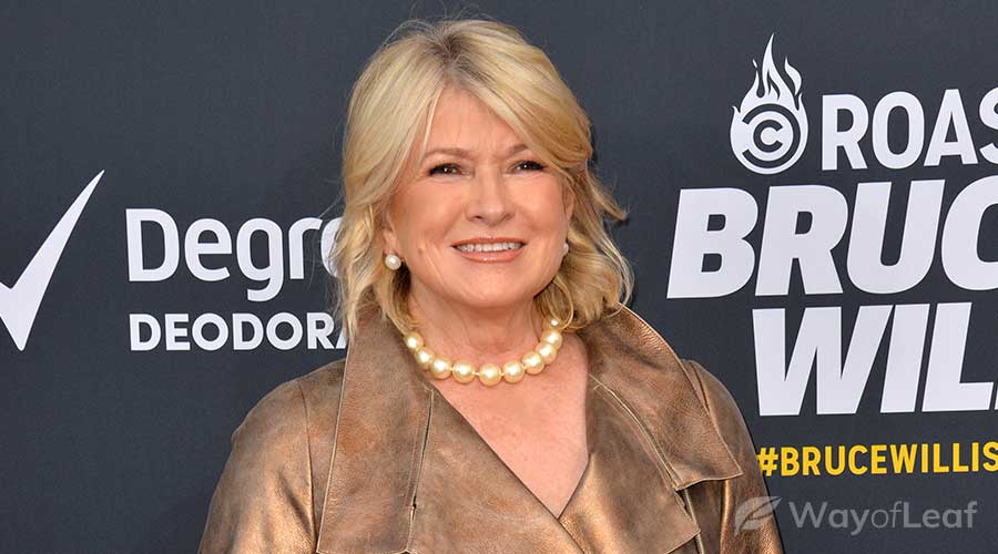 martha-stewart-cbd