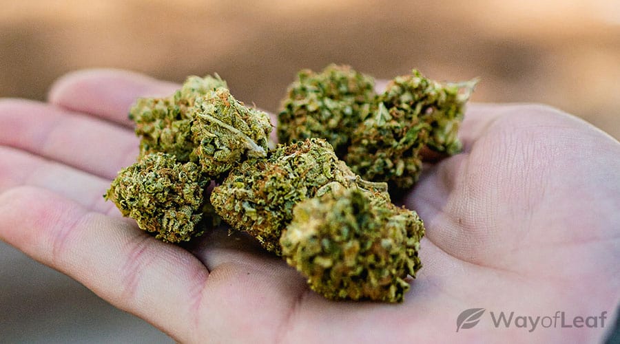 medical-benefits-of-strawberry-cough