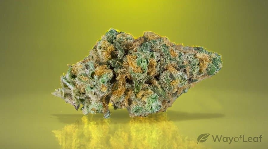 lemon-skunk-strain-review