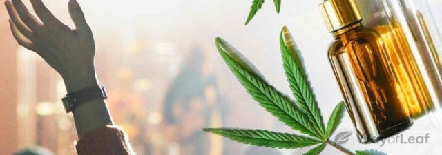 Celebrity CBD Brands: A-Listers Are Getting In On The Market