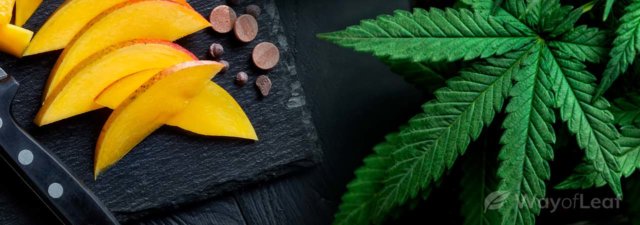 Can Eating Food Reduce Your High? [Exploring the TRUTH!]