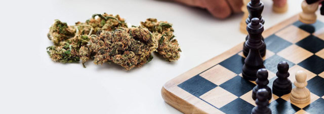 Our 30 Favorite Games to Play While High