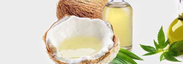 CBD Carrier Oils: Coconut Oil vs. Hemp Seed Oil