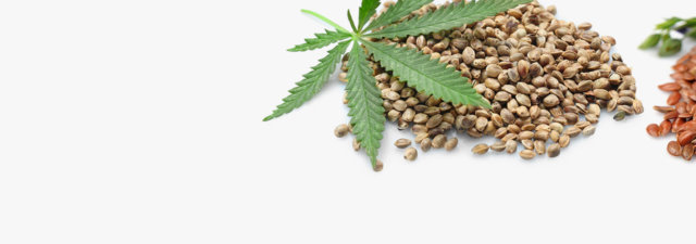 Hemp vs. Linen [Which Is Best]