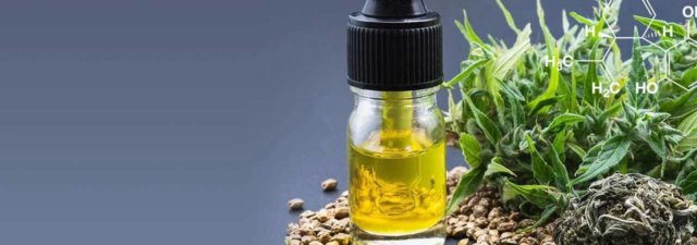 5 Ultimate High CBD / Low THC Cannabis Strains