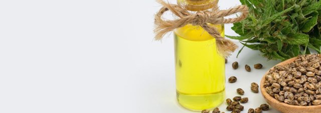 10 Awesome Vegan Cannabis Edibles to Make at Home