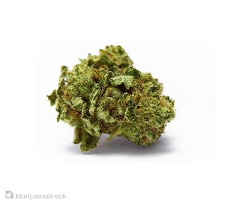 Allen Wrench Marijuana Strain (The Full Review)