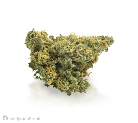 Apollo 13 Strain Review | We Have Lift Off!