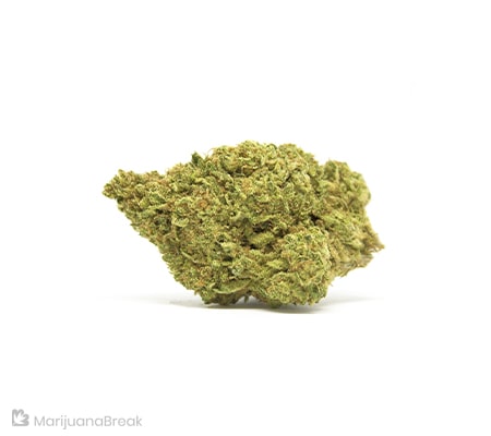 Casey Jones Cannabis Strain (The Complete Review)