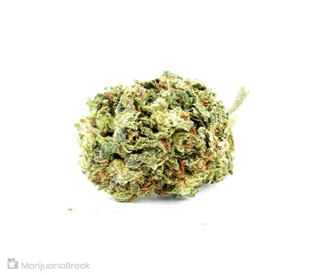 Cherry Bomb Strain Review [Origins, Benefits, Potency]