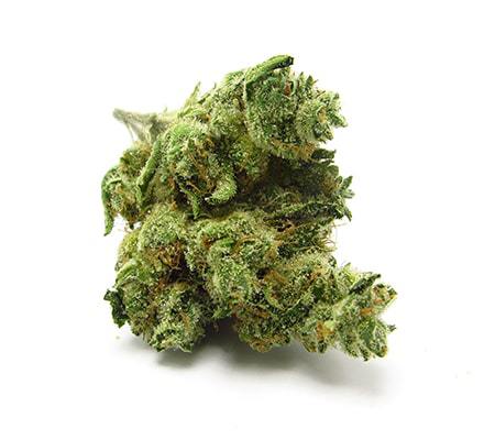 Chiquita Banana | Weed Strain Review