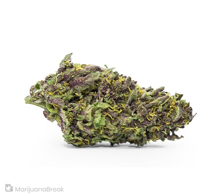 Glass Slipper Cannabis Strain Review