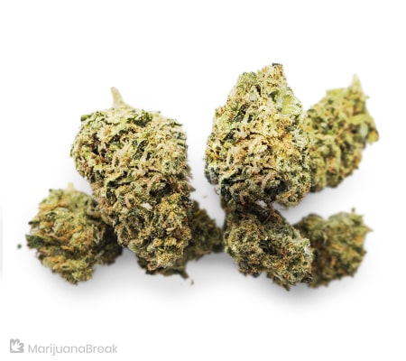 Grape God | Marijuana Strain Review