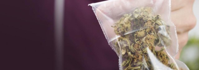 How Much Is in a Dime of Weed? [Cost + More!]