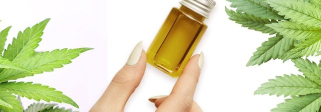 What Is MCT in CBD Oil? [Comprehend a Label’s Ingredients]