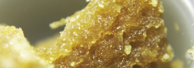 What is Budder? [All You Need to Know]