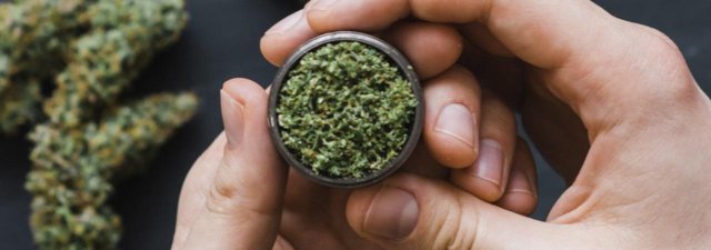 What Is ‘Dank’ Marijuana? [Is It Good, Bad, or Average?]