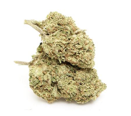 White Russian Cannabis Strain Review