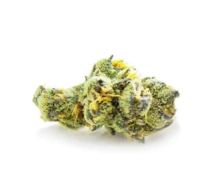 Ace of Spades Marijuana Strain Review