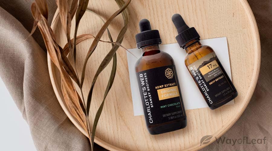 wol-article pic-full spectrum cbd oil-best overall