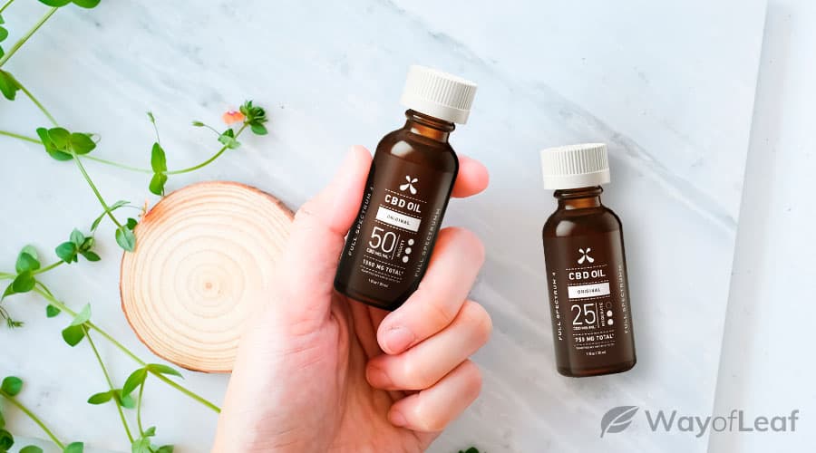 wol-article pic-full spectrum cbd oil-best quality