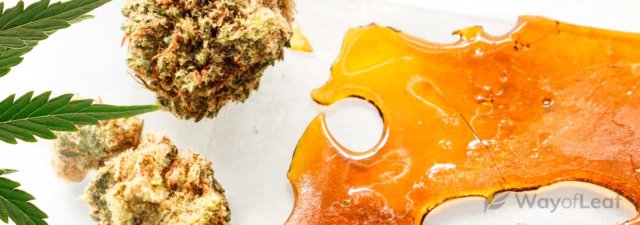 How to Make Your Own Concentrates Using Alcohol Extraction