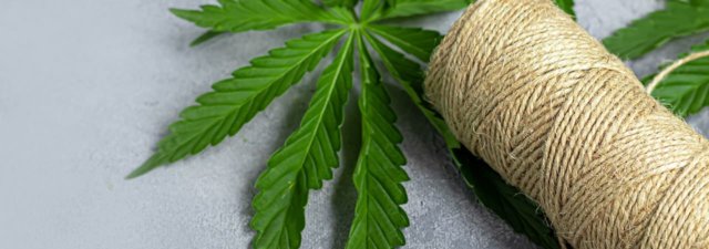 How to Use a Hemp Wick: A Quick & Simple Guide