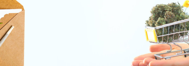 What Is a Weed Delivery Service & Should You Be Starting One?