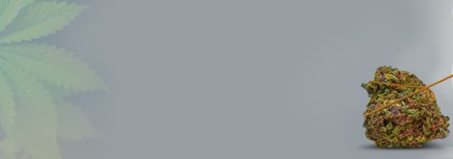 Why Does Weed Seem to Slow Down Time? [EXPLAINED!]