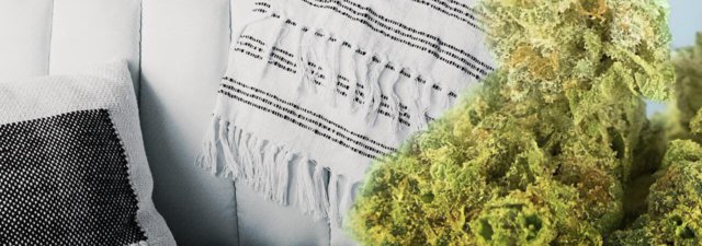 5 Best Cannabis Strains to Get Completely Couch Locked