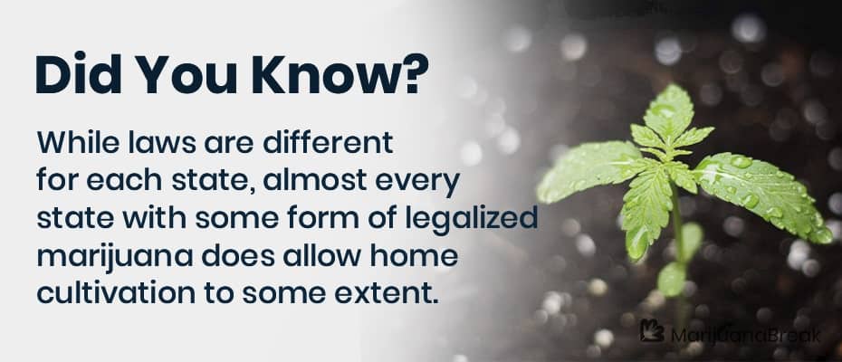 how-to-get-a-growers-license