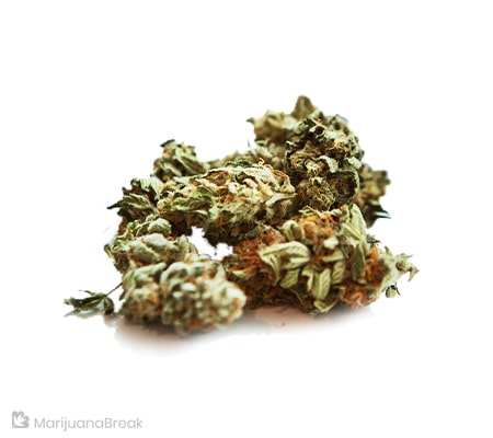 Black Diamond Marijuana Strain [Origins, Benefits, Potency]