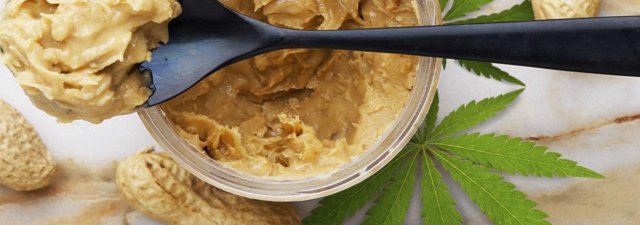 Cannabis Peanut Butter Bites [Learn How They’re Made!]