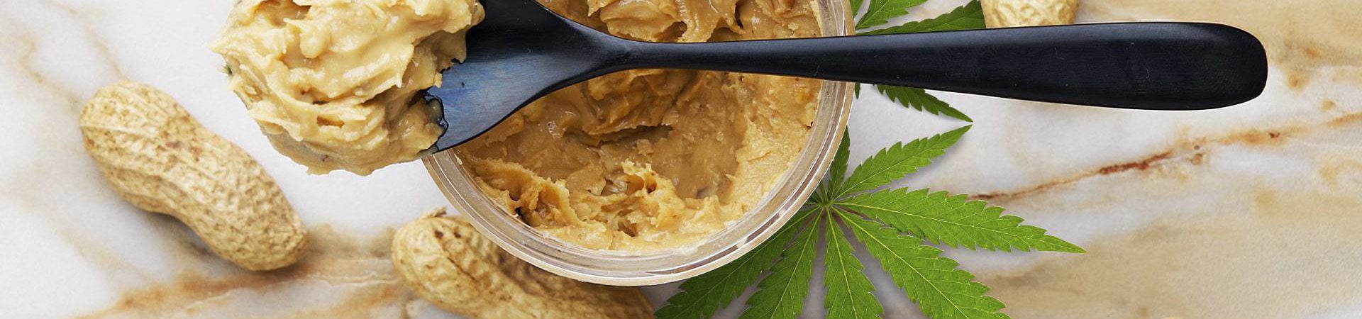 Cannabis Peanut Butter Bites [Learn How They're Made!]