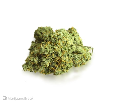 Citrus Sap | Marijuana Strain Review and Guide