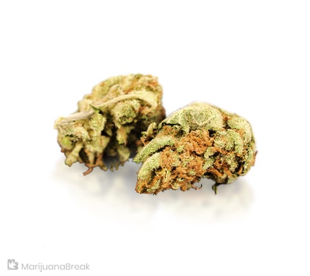 Cornbread Cannabis Strain [Origins, Benefits, Potency]