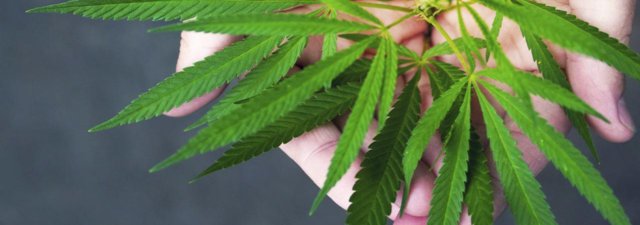 How to Use Cannabis… Without Smoking It