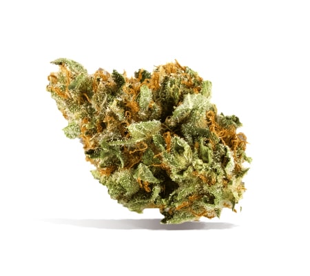 JillyBean Marijuana Strain Review