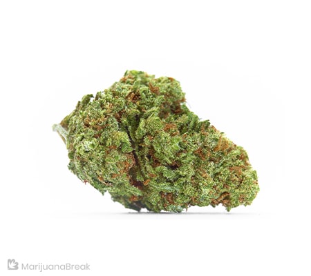 Lemon Diesel Cannabis Strain [Origins, Benefits, Potency]