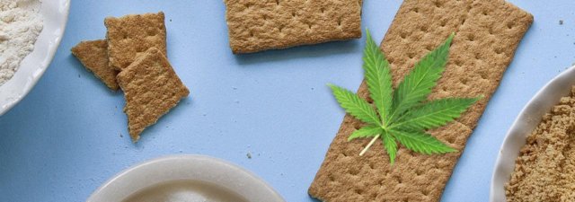 What Are Weed Firecracker Edibles & How to Make Them?