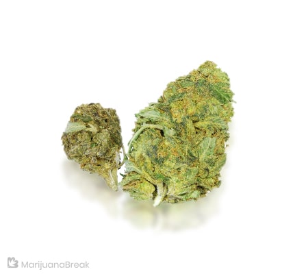 Willie Nelson Strain Review