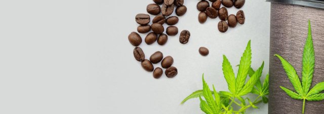 How to Make THC-Infused Coffee | The BEST Recipe