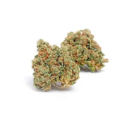 Big Smooth Cannabis Strain [Benefits, Origins, Potency]