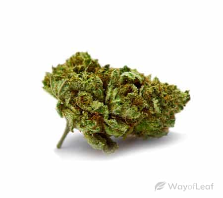 Fruits Loops (Cannabis Strain Review)