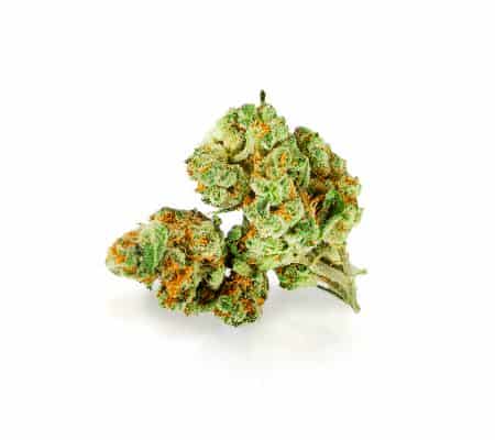 Paris OG (Cannabis Strain Review)