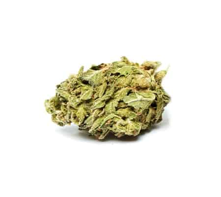 Pot of Gold: The Complete Marijuana Strain Review