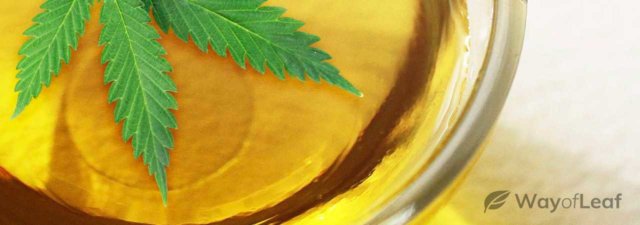 Ethanol Extraction for Marijuana: Is It Safe?